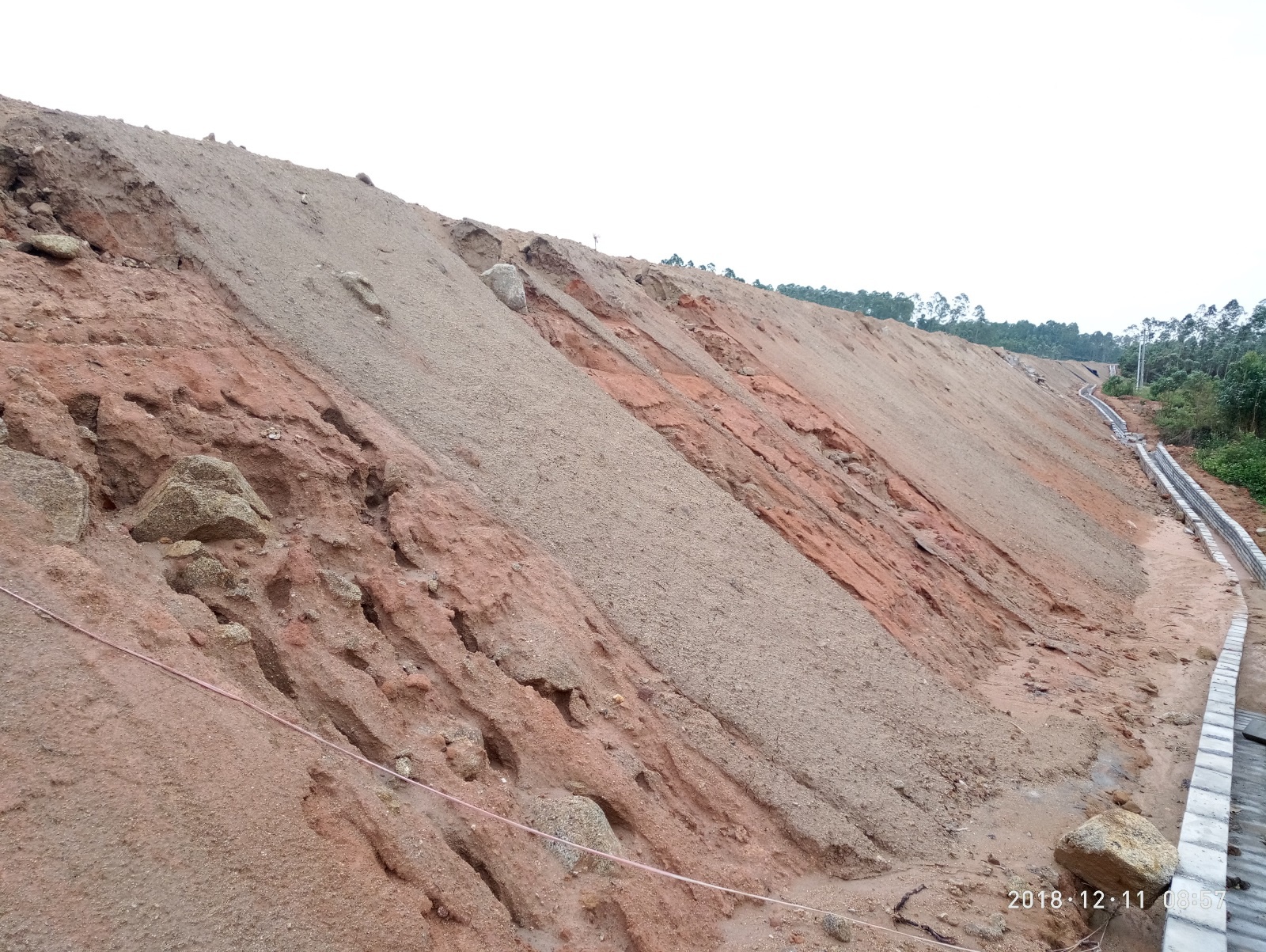 玉湛高速公路廉江段填砂路基防护 (1).jpg