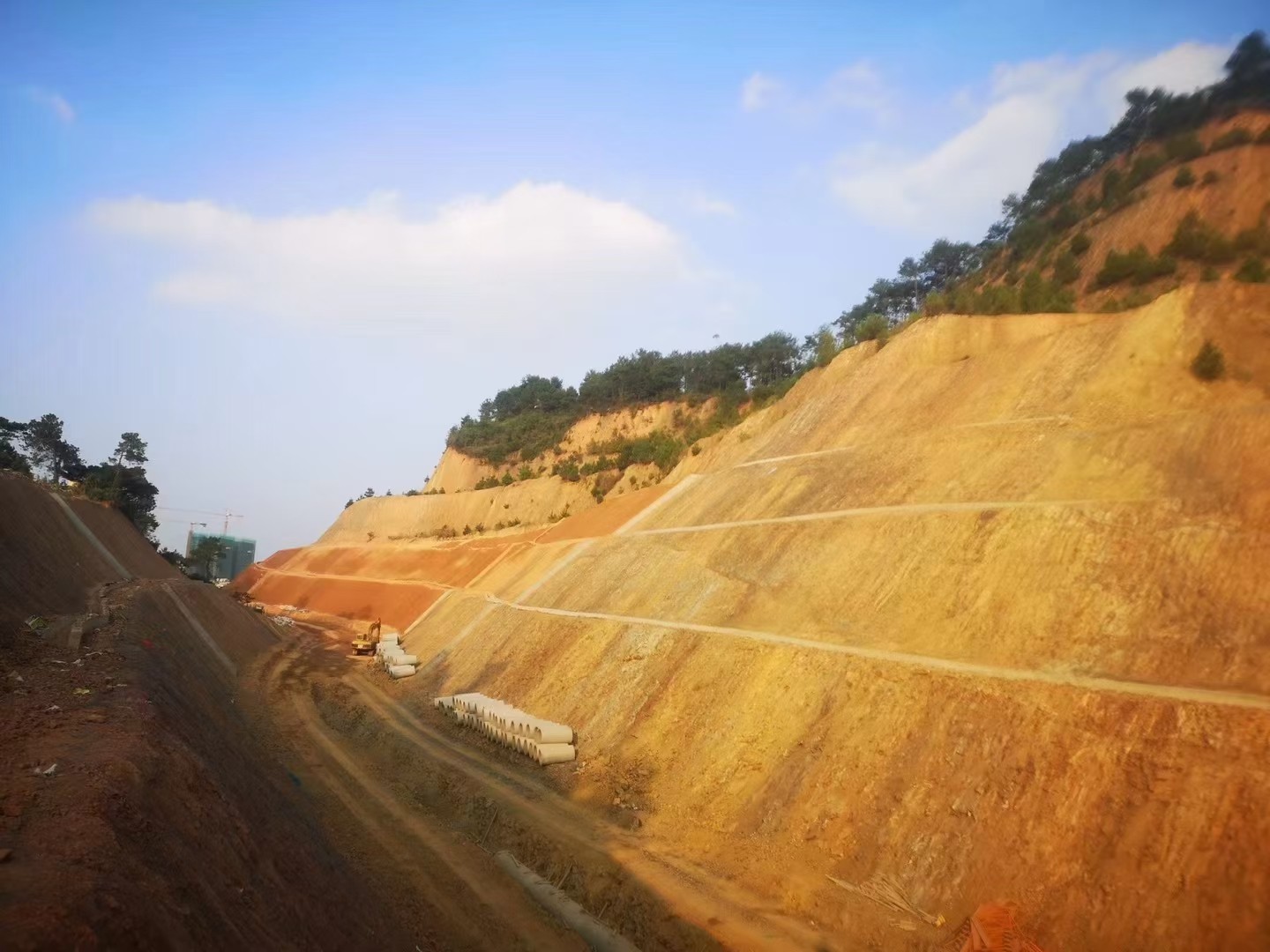 狮卧山生态修复8号路强风化岩石挖方边坡