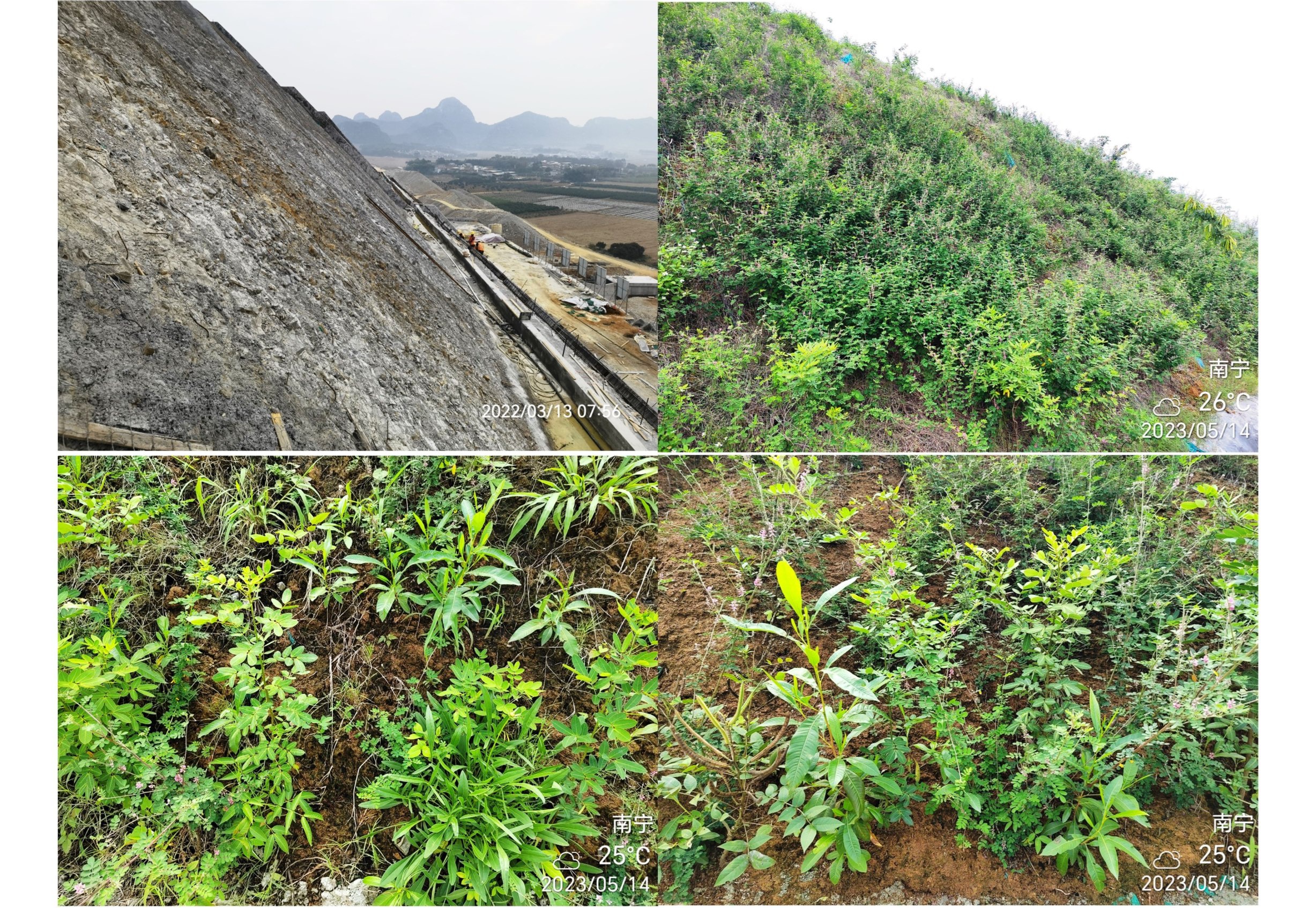 平南高速1号山-4.jpg